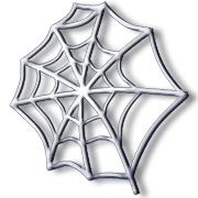 spiderweb